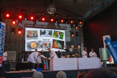 2023-07-01_Stadtfest-Wels_3000-28